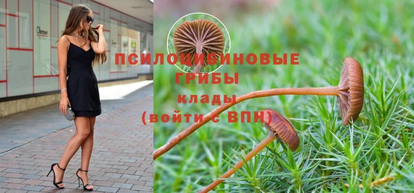 дурь Армянск
