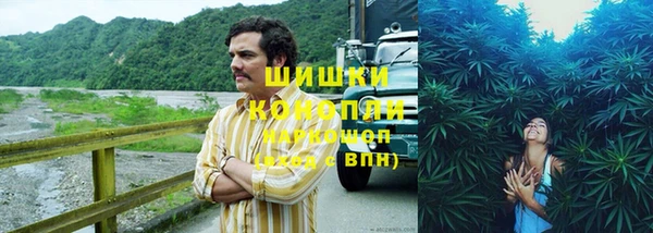 хмурый Семилуки
