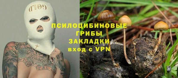 дурь Арсеньев