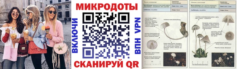 как найти наркотики Тайшет Псилоцибиновые грибы мицелий